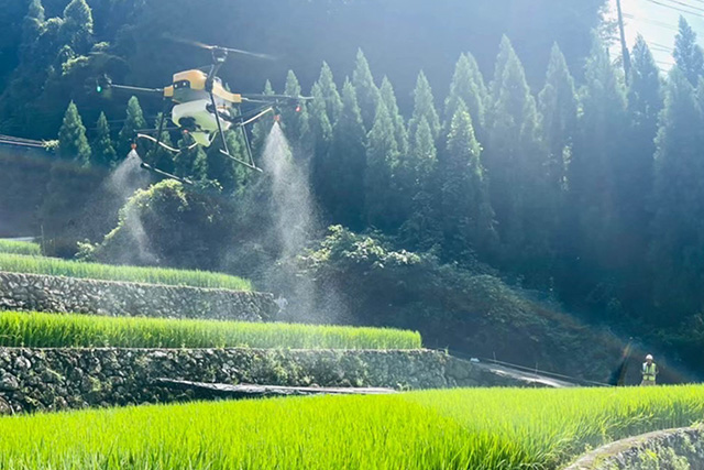 ドローン農薬散布の料金を抑える方法