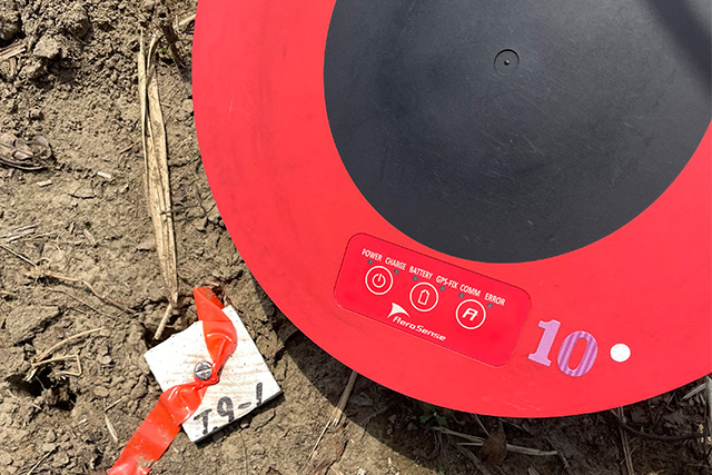 従来の森林調査の課題